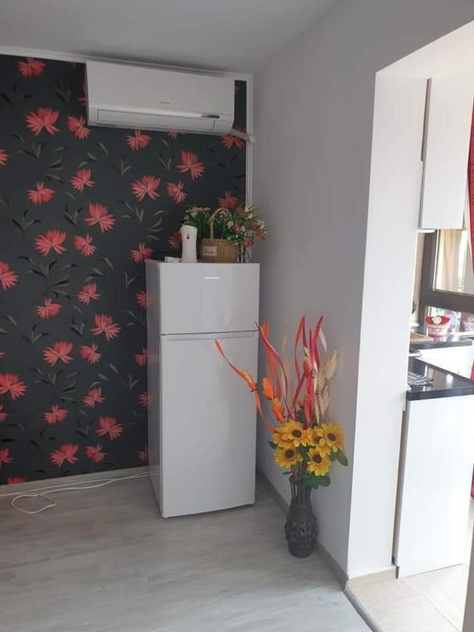 Apartament Alina Saturn Εξωτερικό φωτογραφία