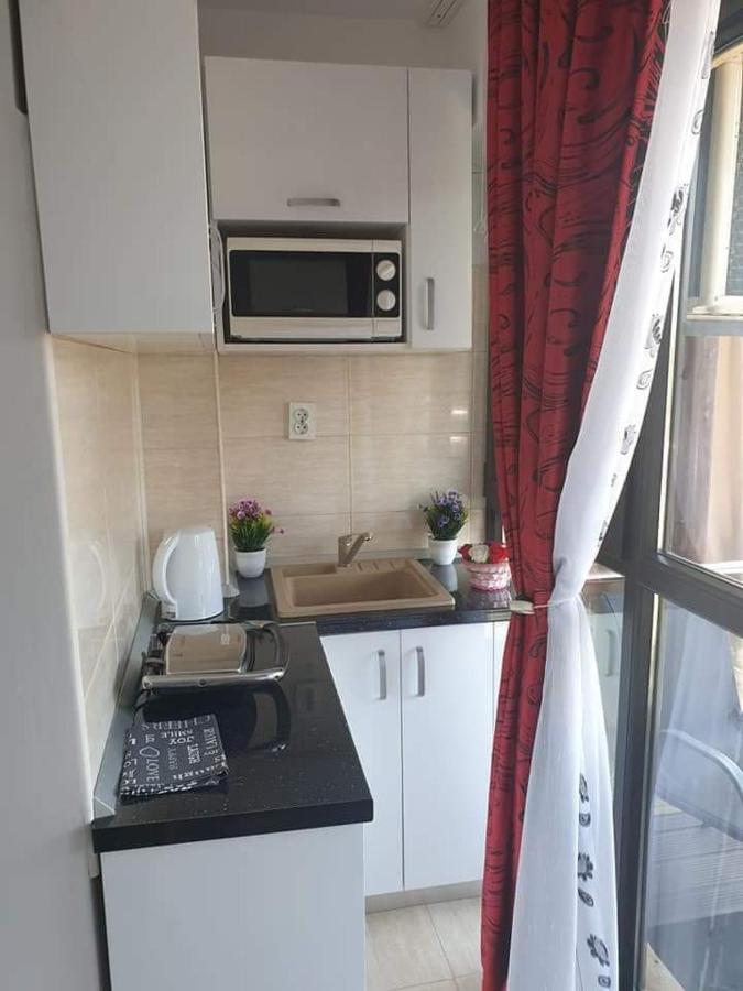 Apartament Alina Saturn Εξωτερικό φωτογραφία