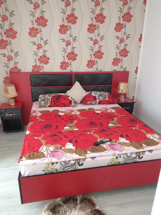 Apartament Alina Saturn Εξωτερικό φωτογραφία