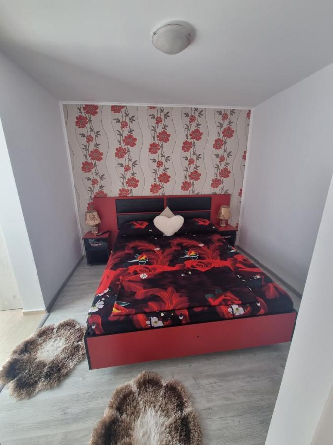 Apartament Alina Saturn Εξωτερικό φωτογραφία